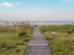 Oceanfront Designer Estate • 6BR, Pool, Spa & Panoramic Ocean Views - Image 3